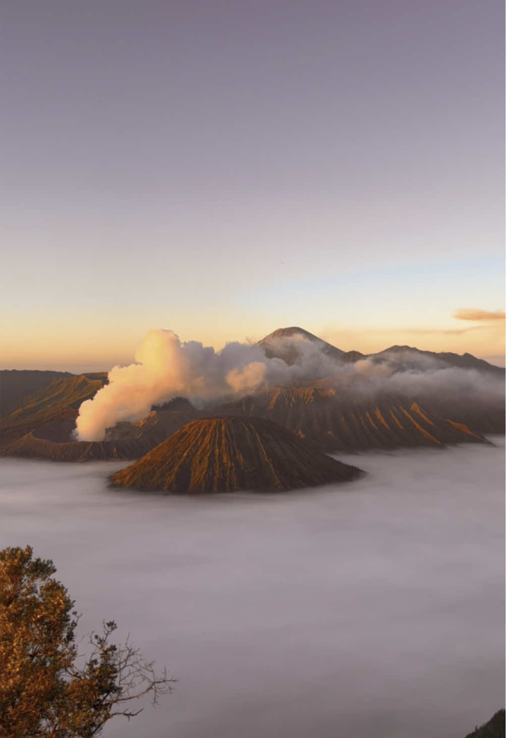 📍Mont Bromo, Java, Indonésie 🌋 #indonesia #bromo #volcano #Hiking #java #travel 
