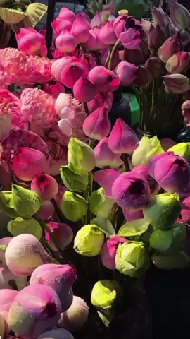 My favorite Flower Shop 💐✨ #reels #fyp #sunset #fyb #trending #flowers #shop 