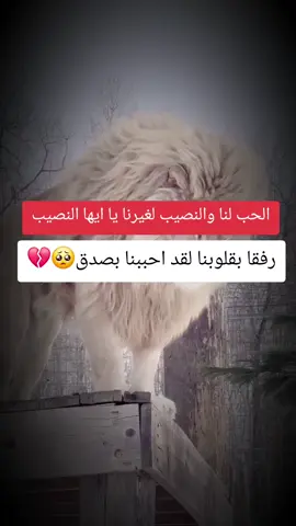 #fyp #اقتباسات #اقتباسات_عبارات_خواطر🖤🦋❤️ #عبارات_جميلة_وقويه😉🖤 #عبارات_حزينه💔 #زيادة_المشاهدة #تصميمي #اكسبلورexplore 