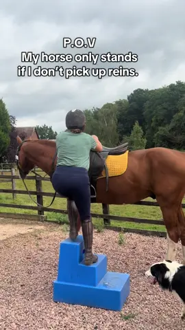My horse is a fidget when I take him out and doesn’t like standing still to mount. Unless I just don’t pick up my reins and then he sort of stands for a second. #stallion #horses #equestrianlife #equestrianproblems #equestrianvibes #fyp 