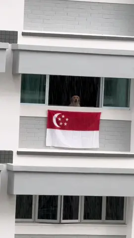 🇸🇬