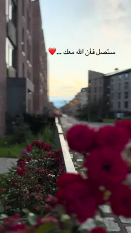 #قولو_امين ستصل بأذن الله  #يارب❤️ #الأميرة_اليتيمة #مميزةm  