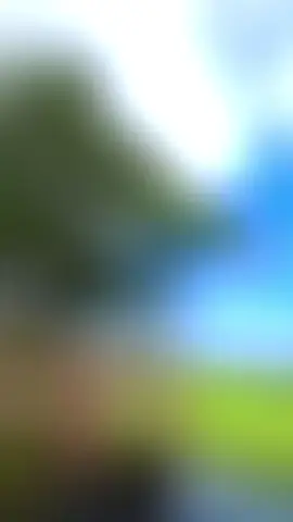 #জামালপুর সরিষাবাড়ী পরিবেশ#foryou #highlight #জামালপুর #creatorsearchinsights #videoviral @TikTok Bangladesh 