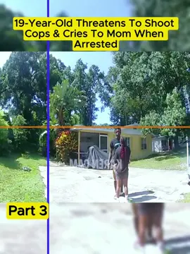 #cops #copsoftiktok 