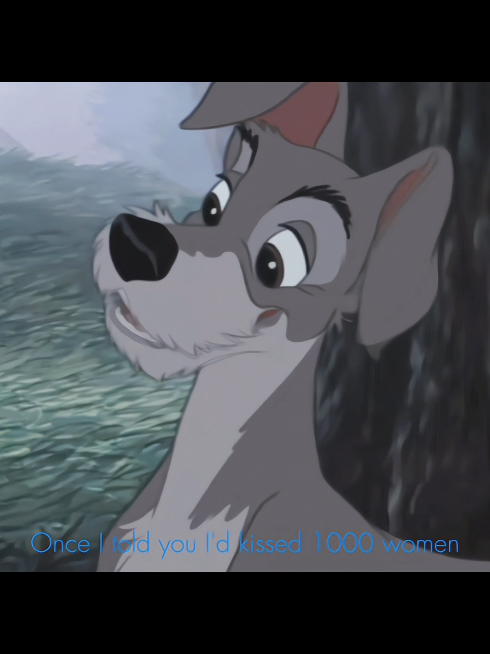 #LADY + #THETRAMP • This audio suits them soooo much and I just can't explain why // #ladyandthetrampedit #edit #ladyandthetramp #dangerouslyyours #dangerouslyyoursxtvgirl #disneyedit #graciemayl 