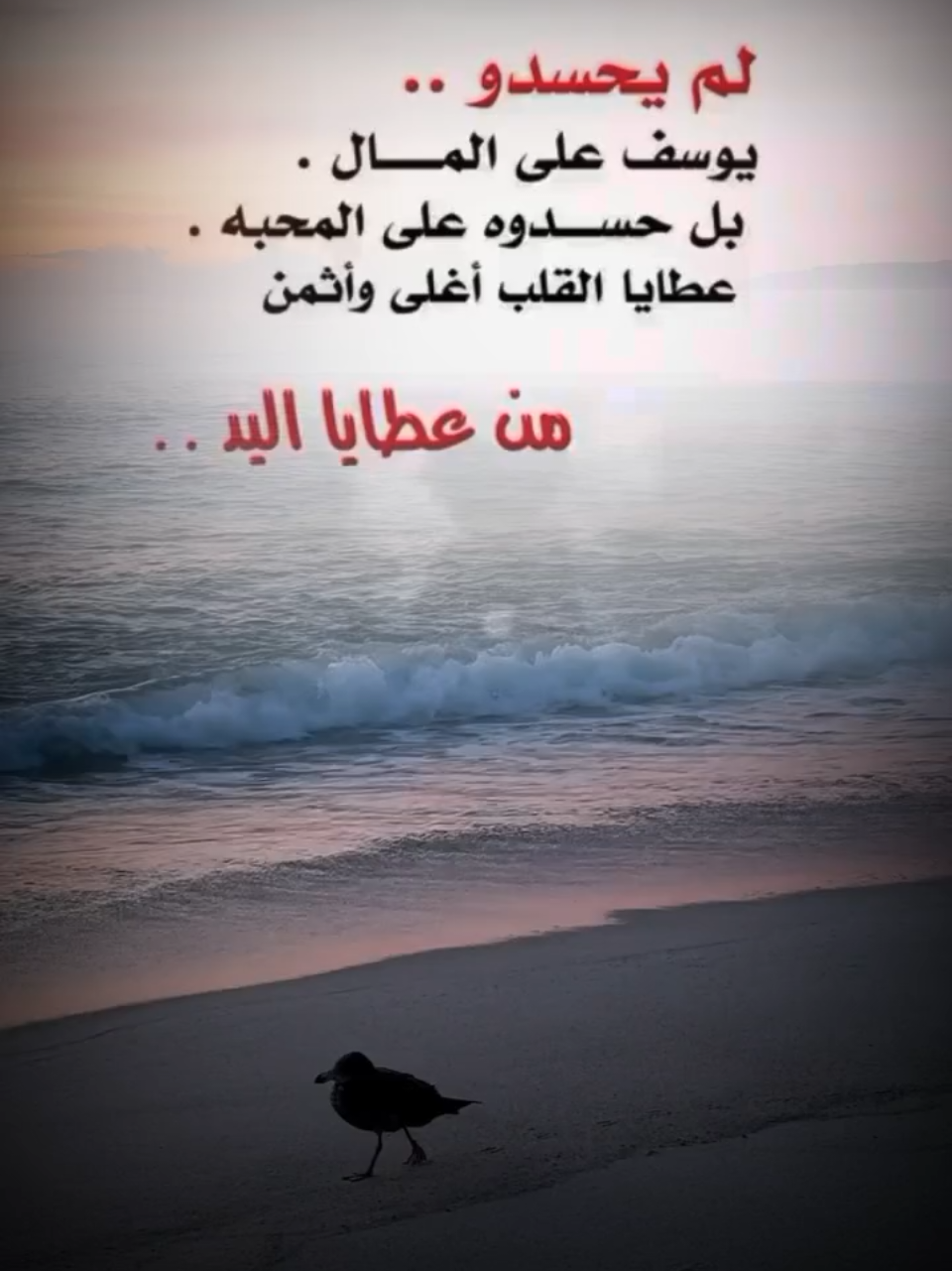 #لم_يحسدو_يوسف_علي_المال_حسدوه_علي_المحبه #foryoupag #foryo #frypgシ #هدوء_الليل 