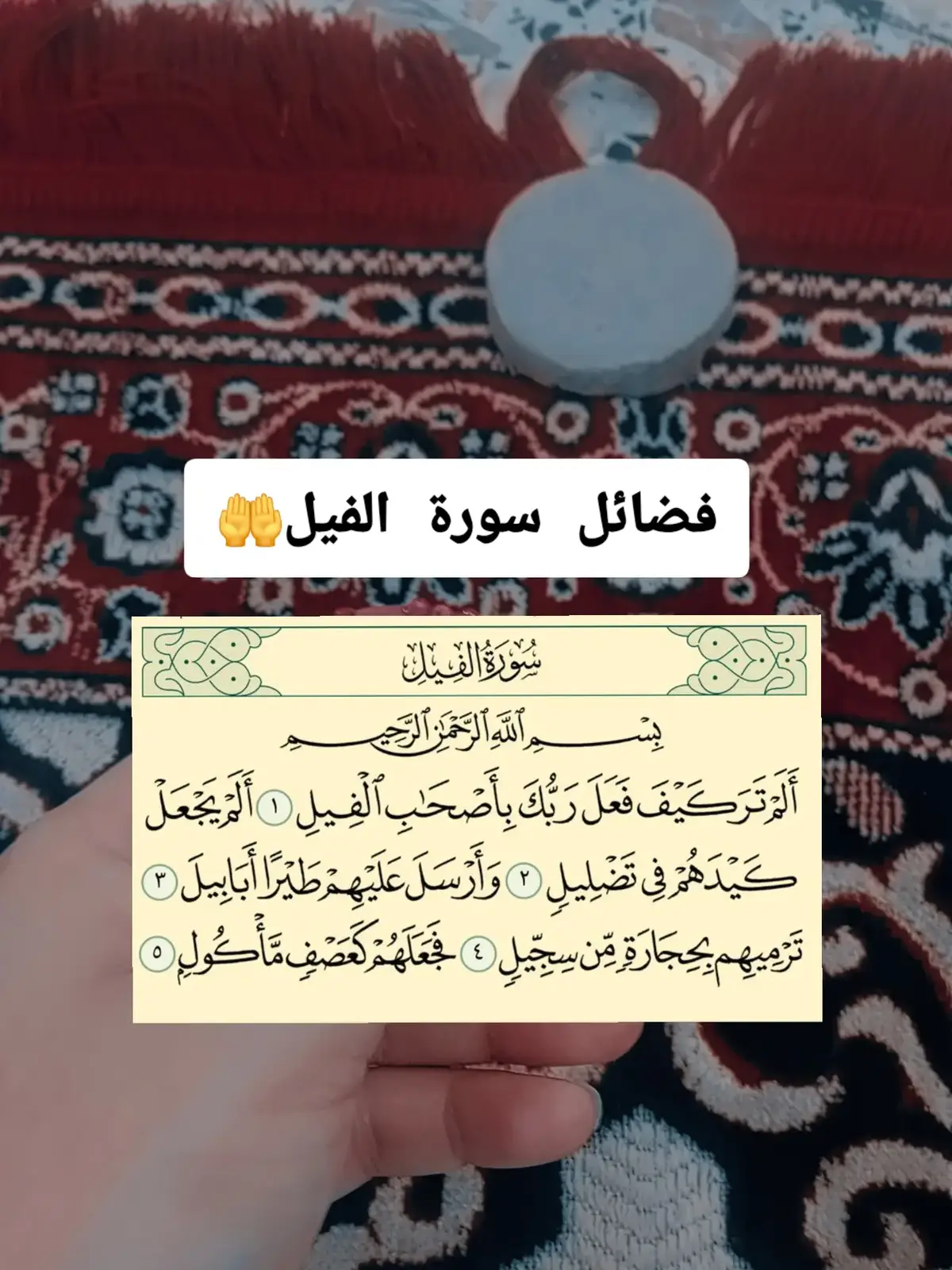 #اللهم_صلي_على_نبينا_محمد #اللهم_عجل_لوليك_الفرج #fyp #شۣۗـۙهۣۗہد🌿 
