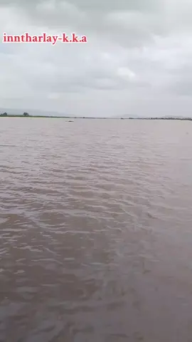 #ဆုံးရှုံးရမှာကြောက်တဲ့အထဲမှာမင်းကနံပတ်တစ်ဖြစ်နေပြီးသိလား#fyppppppppppppppppppppppp #fypシ゚viral 