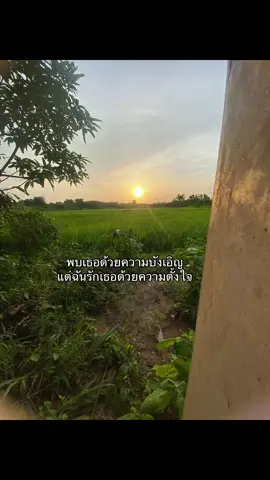 💐💗#เธรด #เธรดรัก #เธรดคนคลั่งรัก #ทุ่งนา #อย่าปิดการมองเห็น #แท็กแฟน #บรรยากาศดี #fyp 