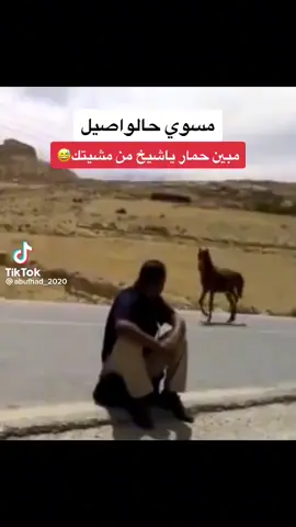يظن الحمار نفسه حصان بعض الاحيان فتخذله المواقف