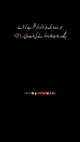 Shukar Allhamdulillah 🤲🏻❤️🥀✨  #plzzunfreezemyaccoun😭🙏 #dontunderreviewmyvideo #viewsproblem #likesproblem #foryou #foryoupage #allah❤️ #beshak #allahuakbar #shukarallah #vidotiktok #noor035official #brookemonk #1millionaudition #burhantv  #500k #100k #support_me #viralvideos 