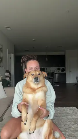 She isn’t happy #fyp #aurafarming #dogsoftiktok #viral #foryou #foryoupage #boatfarming 