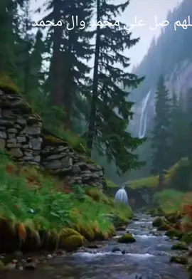 emandanganalam #vibessad# . #naturevibes #calm #rightherewaiting #dreamplace #livewallpaper #scenery   jei   >viral اللهم صل على محمد وال محمد 