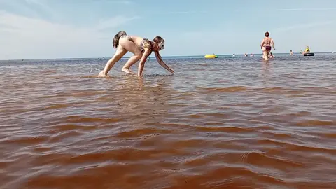 Эта волчица играет в море! 🌊 Может она ловит рыб? 🐟 ———————————— Я сегодня была на море :3 ———————————— ВоПрОсИкИ! ↓ 𖦹~Вы на море любите больше загарать или купаться?  ✩~Вы умеете делать трюки в воде? Если да, то какие?  ·∘∙•·𓆡✩𓆛☆𓆜٭𓆝✩𓆞☆𓆟٭ ———————————— #Крицта2 #Лидер_Клана #КвадробикаКлан #КвадробикаХаус #квадробика #квд #квадробика🐾 #териантропия #териан #квадробер