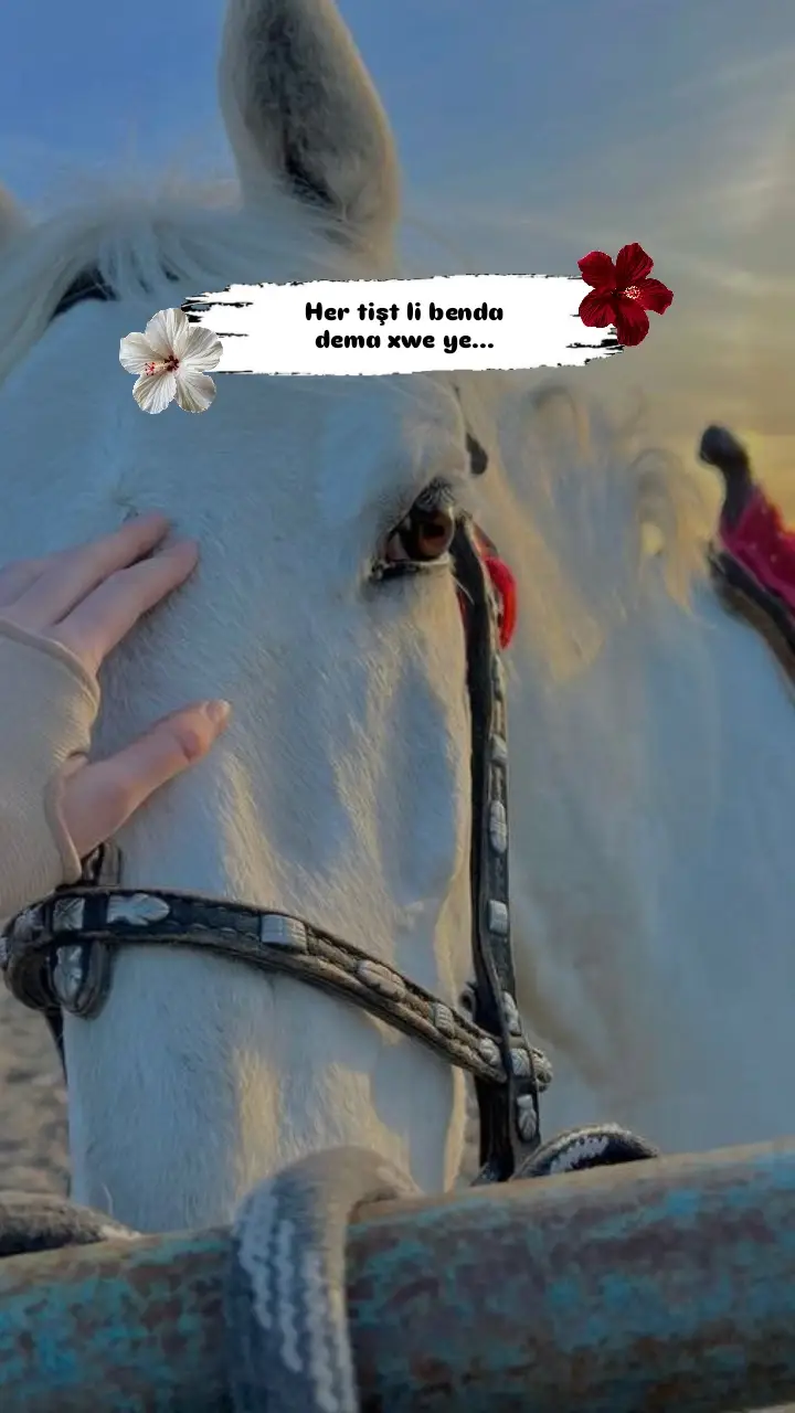 Herşey vaktini bekler.