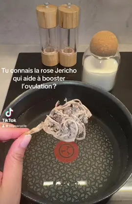 Tu veux booster ton ovulation naturellement grâce à une plante utilisée depuis des siècles ? 🌱 Découvre la rose de Jéricho ! Connue dans le monde entier, surtout au Moyen-Orient et au Maghreb, elle est réputée pour accompagner la fertilité. Il suffit de la faire infuser et de la boire de J1 à J5 de tes règles. En plus, elle est réutilisable jusqu’à 5 fois ! Un rituel doux et naturel pour soutenir ton cycle ✨ #RoseDeJericho #FertilitéNaturelle #Ovulation #CycleFéminin #ProjetBébé #RemèdeNaturel #SOPK #Infertilité #BienÊtreFéminin #natureetféminité #essaibebe 