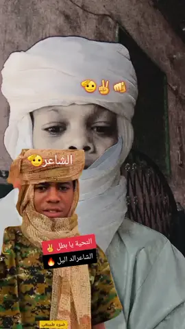 # الشاعر الدليل