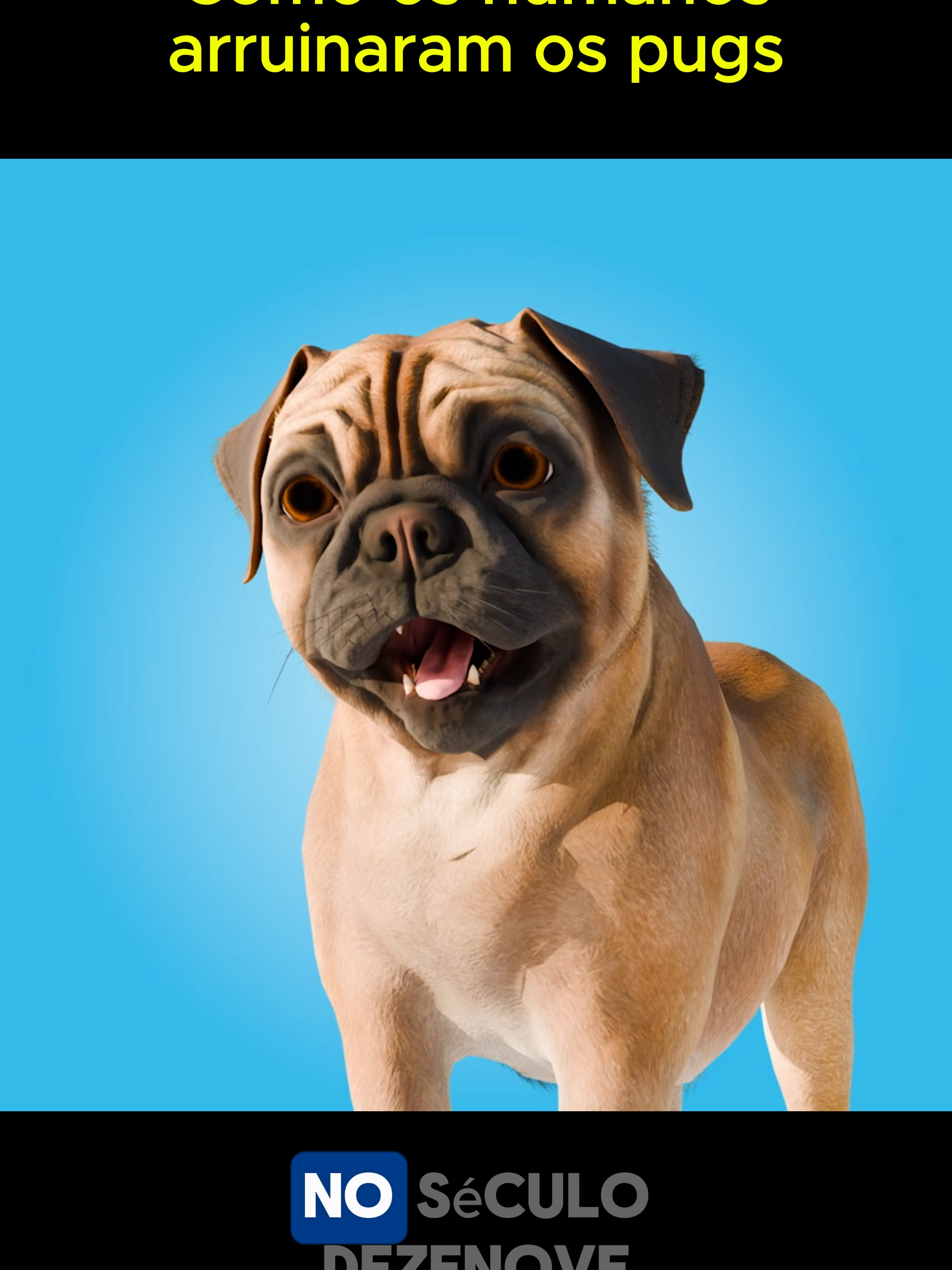 Como os humanos arruinaram os pugs