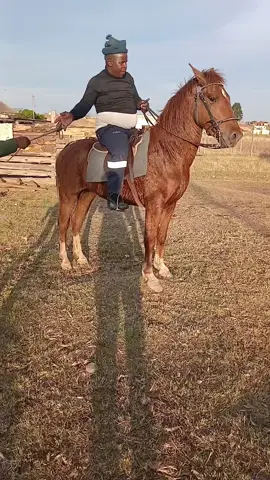 #fyppppppppppppppppppppppp #easterncape #qumbu_yidolophu #qumbu_emampondomiseni #horse #horseriding 
