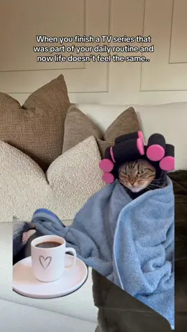 Like.. what am i supposed to do now?!🥲  #fyp #foryoupagе #relatable #funnytiktok #funnymemes #funtok #funnycat #humor #humortiktok #comedyvideo #tvseries 
