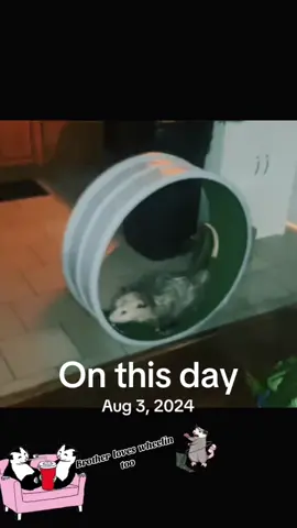 #onthisday 