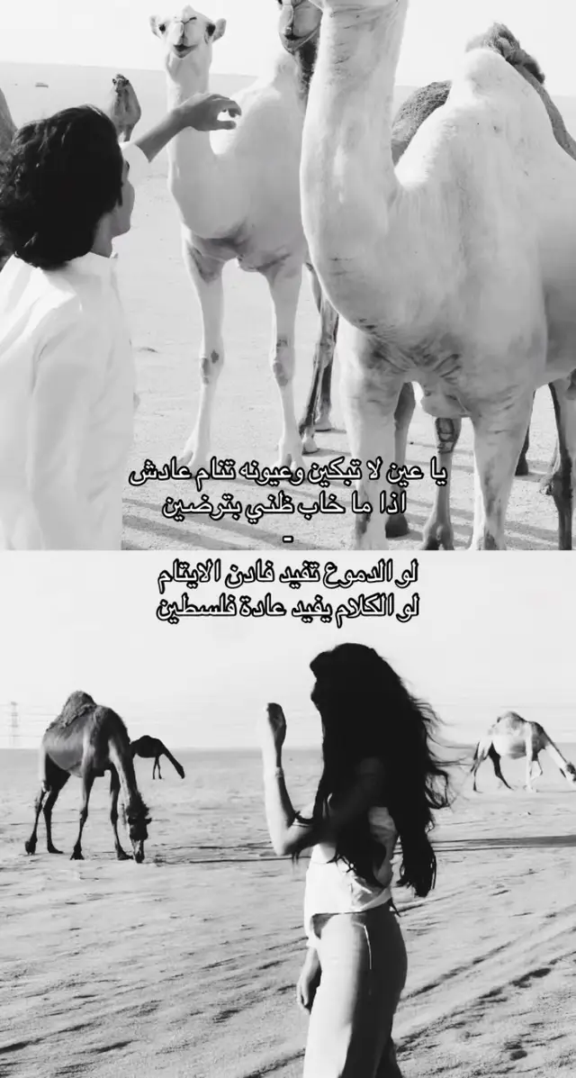 يا عين لا تبكين وعيونه تنام عادش  #fypシ゚viral #هوجيس 