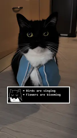 Uni has a good time  #undertale #catsoftiktok #kitten #tobyfox #deltarune 