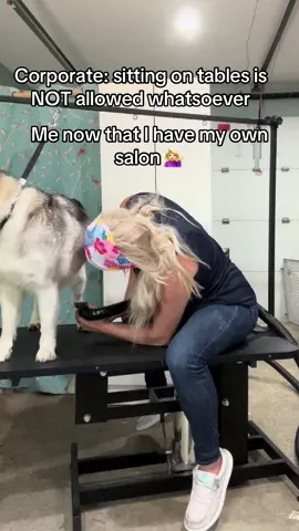 Like sorry a girl wanna get off her feet for 5 minutes 😅 #corporate #workfromhome #homesalon #norules #sitdown #doggrooming #groomer 