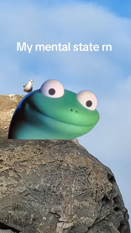 Lizard lizard lizard lizard lizard #CapCut #me 