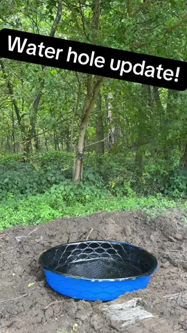 So the plastic sheet we used got a hole in it so we installed a $16 kitty pool that we painted black. Lets see if it works! #whitetaildeer #whitetail #illinois 