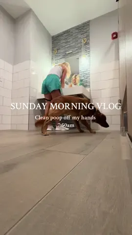 Happy Sunday!! #goldenretrieverlife #dogsoftiktok #puppytiktok #goldenretriever #goldenretrieverlife #dogtok #dogtokers @Walter & The Welsh’s 