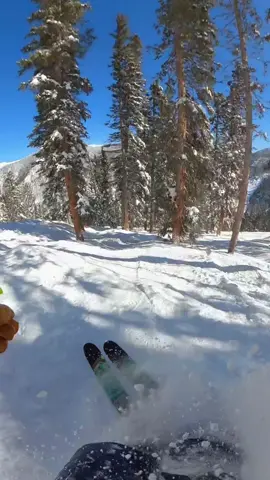 More tree lines please 🙏 at Taos Ski Valley New Mexico on the “National” Vacation @J skis - 3/25/23 🎥 Filmed on @GoPro  #ski #skiing #skitok #gopro #gopromax #taosskivalley 