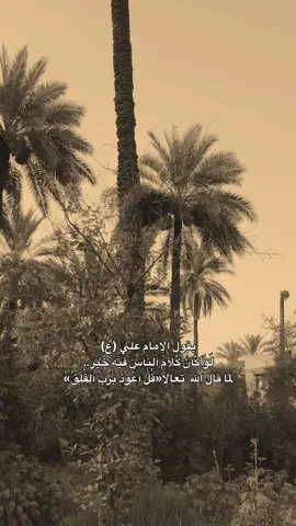 #شاركوا🤎👇 #مشاهير_تيك_توك #العراق🇮🇶❤️ #متابعه 