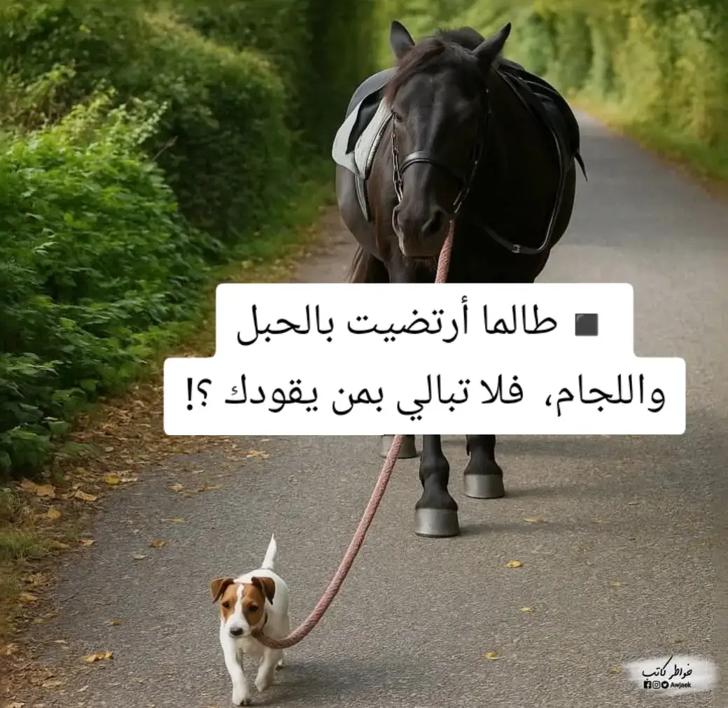 #كذالك حال بعض البشر 🤚