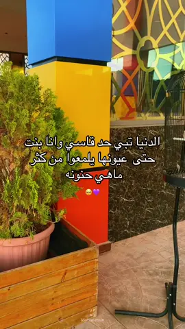 🥺☹️💜#التلال_لاند_البيضاء_لوسيطه 💜#البيضاء_الجبل_الاخضر 💜#فرنسا🇨🇵 