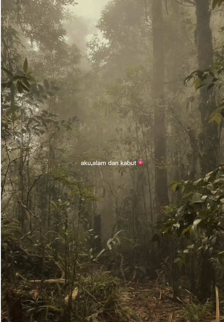 “Kabut turun pelan membungkus sunyi. Aku tidak hilang, hanya sedang diam dalam pelukan alam.” #CapCut #ketenangan #puncak #gunung 