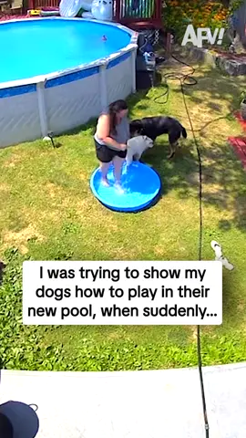 Showed them how NOT to play at least 🤣 #afv #fail #funny