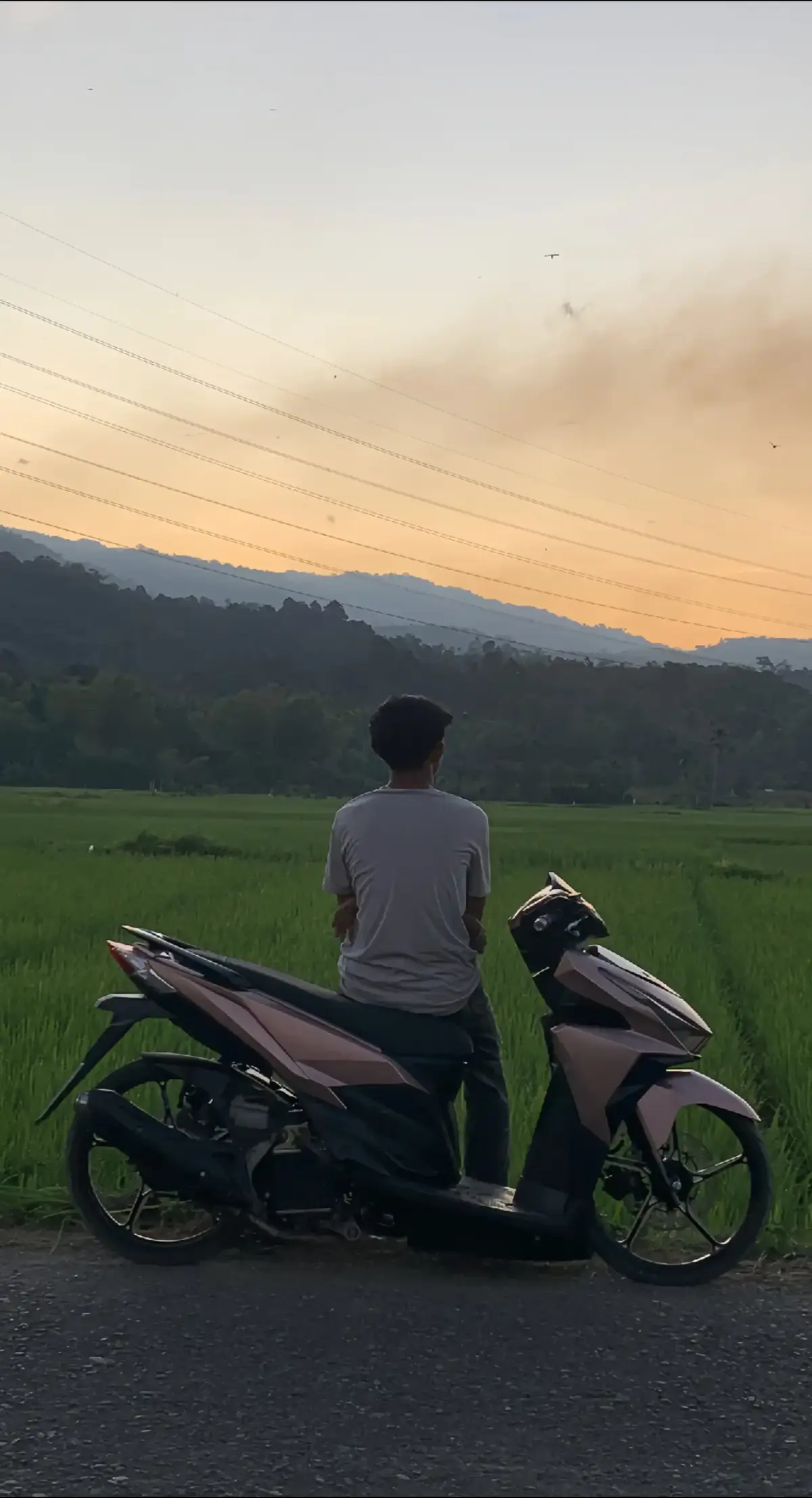 ‼️#fyp #vario #pink #vibes #trending #fyp 