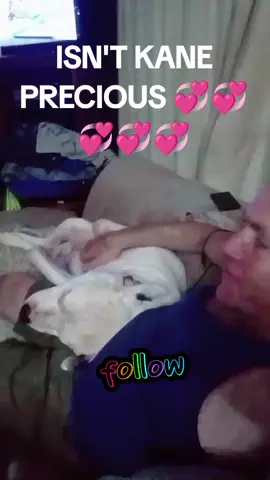 #dogsoftiktok #petlover #fyp #kanethegreat 