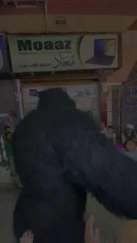 انا نسخه واحد ي هلس☝️  #السنوسي🔥🔥🔥 