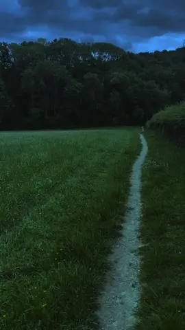 into the woods during blue hour 💙🌲  #ambient #walk #nostalgia #bluehour #liminal #fyp 