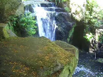 #digitalcamera #digicam #nature #fyp #waterfall 