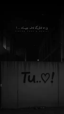 Tu Dê Her Mînî Ew Gula Gesh 🖤 #abdulqaharzaxoyiofficial #Gizi #abdulqahar_zaxoy #abdulqahar_zaxoy #duhok #kurdish #zaxo #عبدالقهار #behivi #abdulqharzaxoyi 
