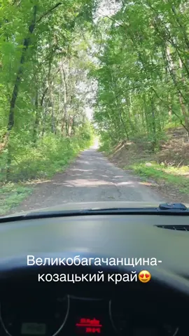 #ukraine #великабагачка #fpv 
