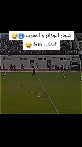 شجار الجزائر و المغرب التذكير فقط 😂#😂😂😂😂😂 