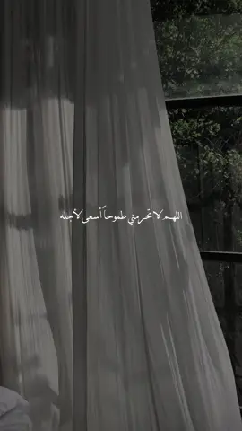 اللهم امين 🤍✨  . . . #اللهم_امين #اللهم_امين_يارب_العالمين #اكتب_شي_توجر_عليه #ادعيه_دينيه #fyp #foryou #foryoupage #اكسبلورexplore 