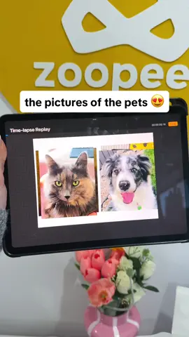Comment a picture of your pet 🙏🐾 #SmallBusiness #smallbusinesstiktok #dogbusiness #catbusiness 