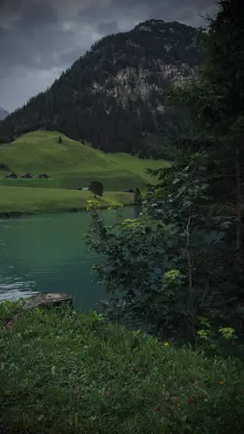 Peace in 60 seconds 🖤#relaxing #nostalgia #explore #calmvibes #aestheticvibes #cinematicvideo #moodyvibes #calmdown #darkaesthetic #switzerland #swissphotographer #foryour #naturephotography #rainyday 