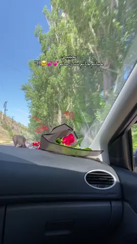 حبيبي حياتم حاتم سان مانم💕💕🥹