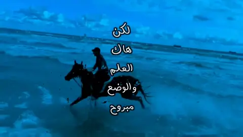 لكن هاك العلم والوضع مبروح #explore #شيلات 